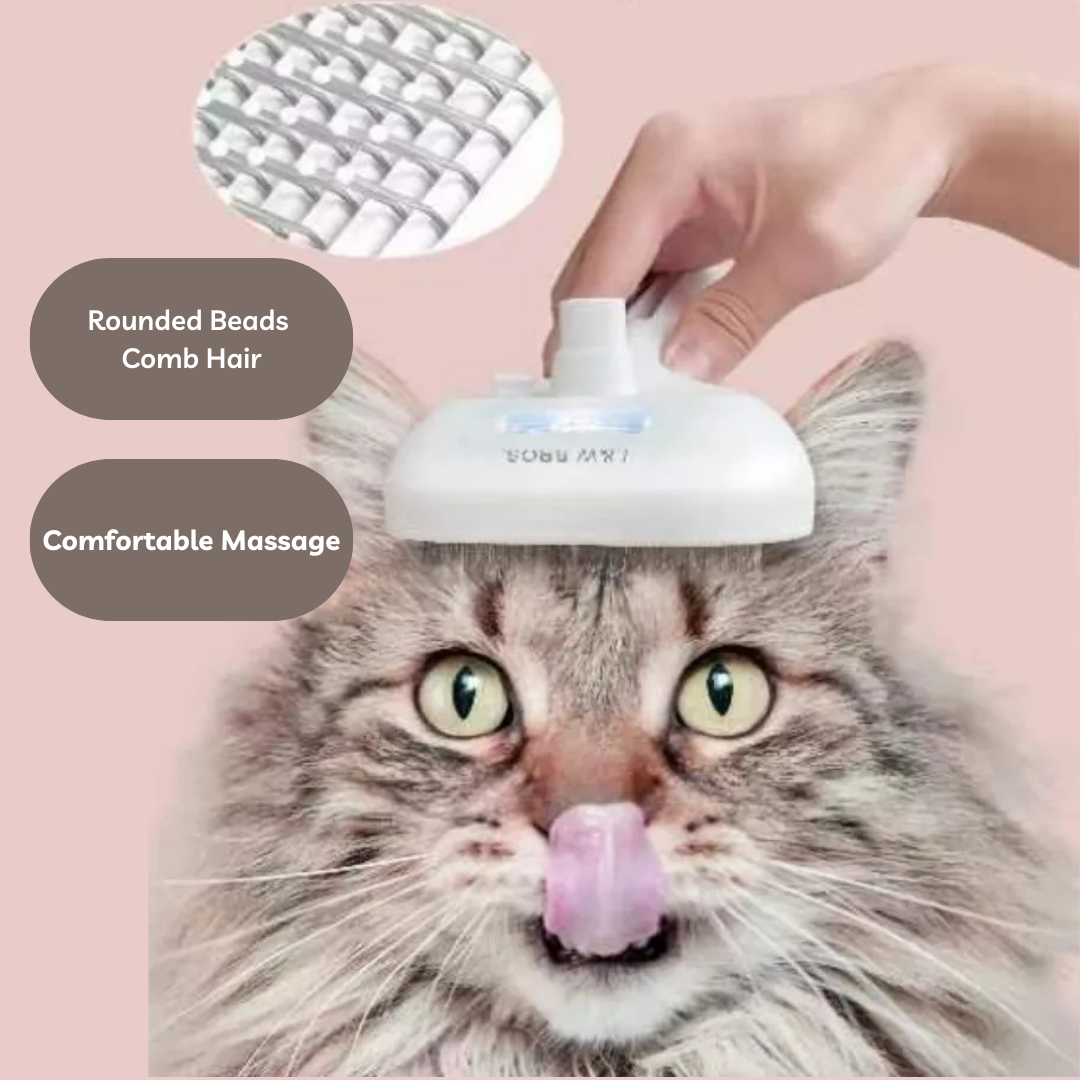 Mist Grooming Brush