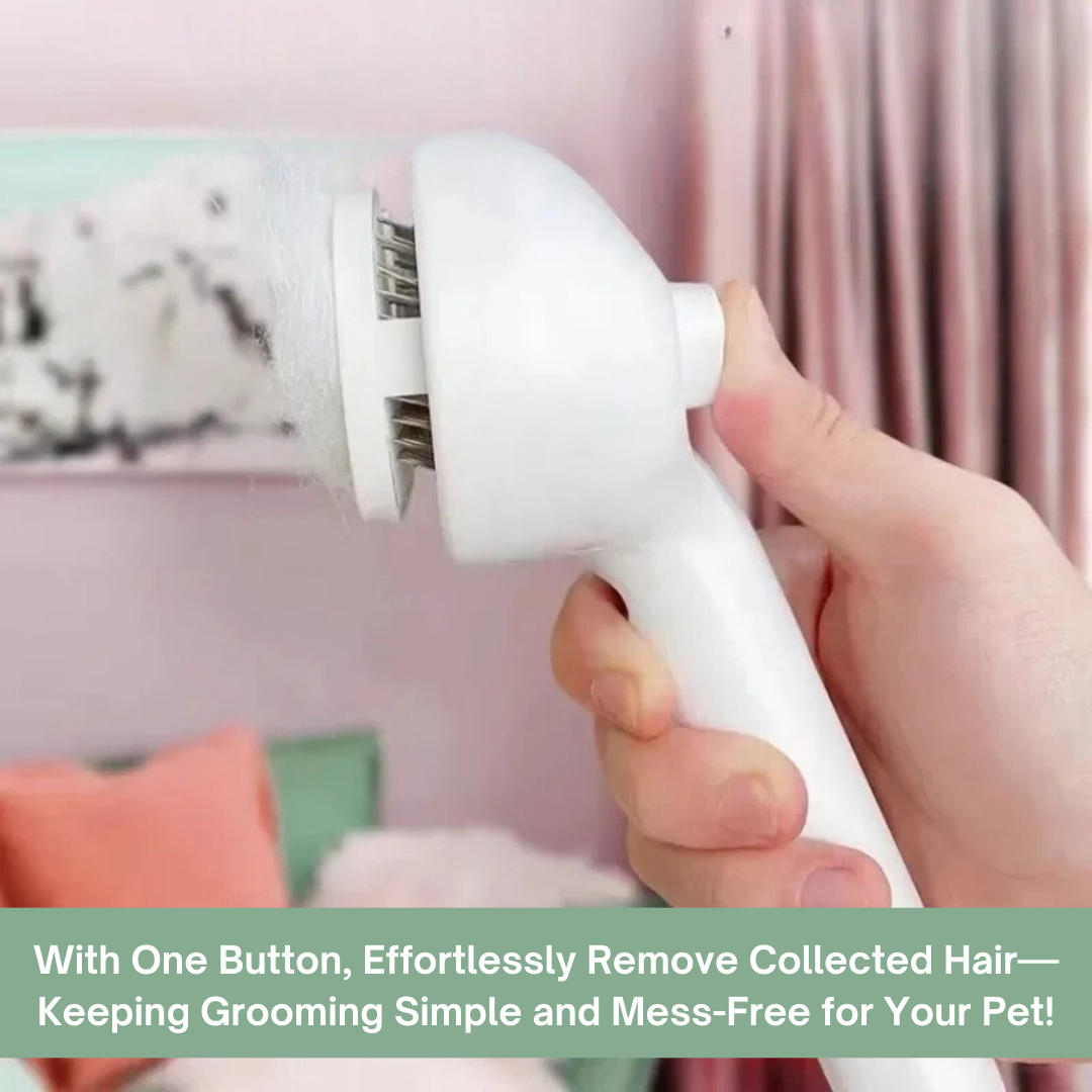 Mist Grooming Brush