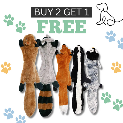 No Stuffing Squeaky Dog Toy