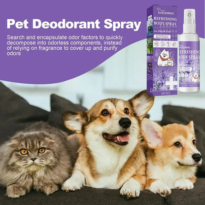 Lavender Pet Odor Spray