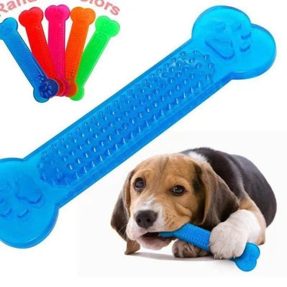 Chewy Bone Toy