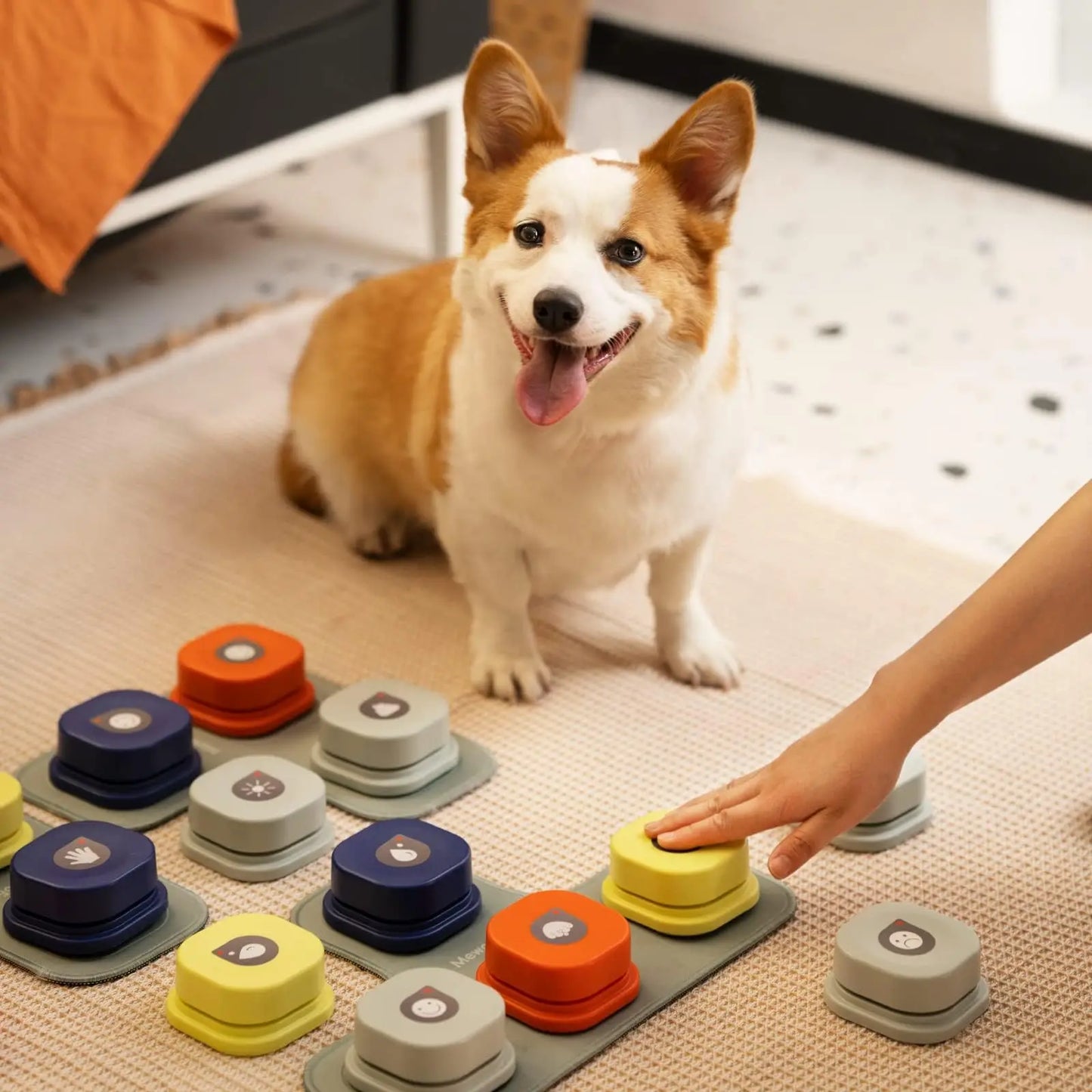 Communication Buttons for Dogs